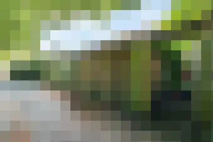 Nijenheim 2252 Zeist thumbnail 24