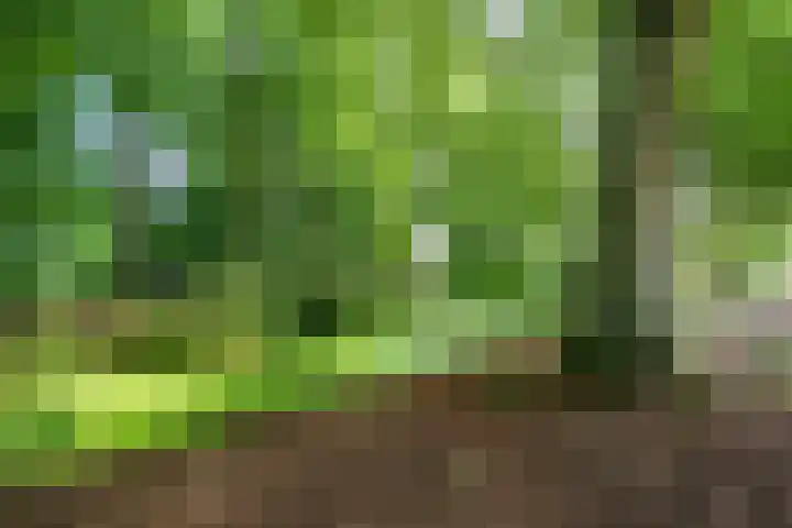 Nijenheim 2252 Zeist thumbnail 25
