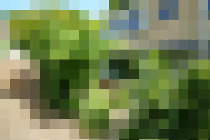 Nijenheim 2252 Zeist thumbnail 26