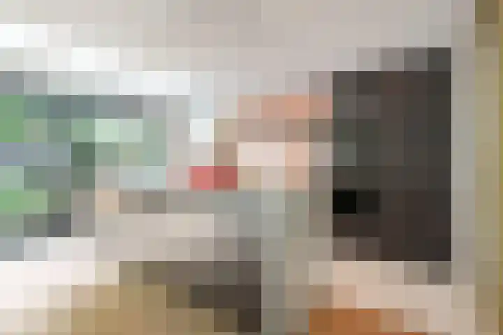 Nijenheim 2252 Zeist thumbnail 7