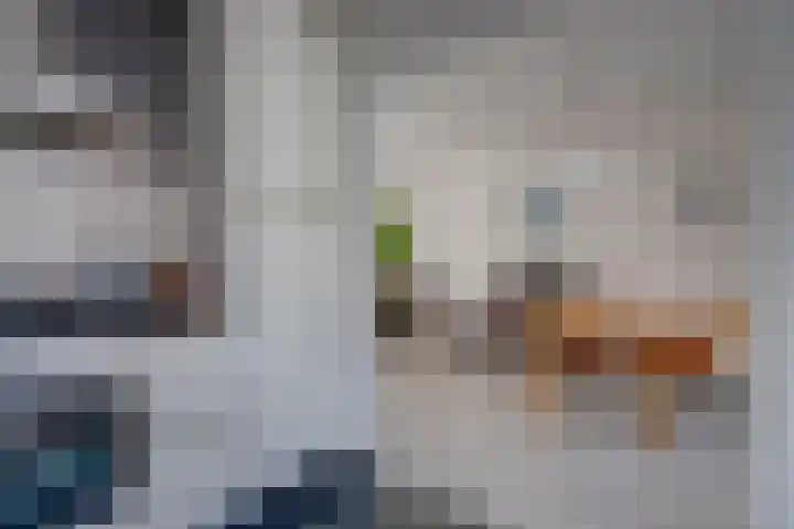 Nijenheim 2303 Zeist thumbnail 12
