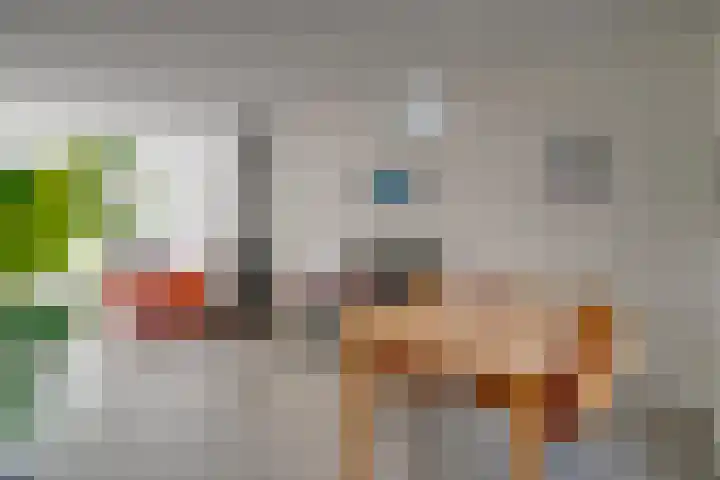 Nijenheim 2303 Zeist thumbnail 13