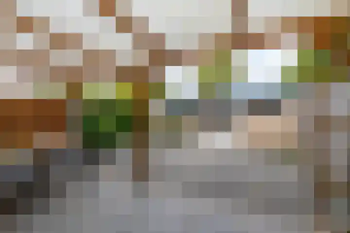 Nijenheim 2303 Zeist thumbnail 14