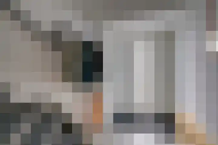 Nijenheim 2303 Zeist thumbnail 17