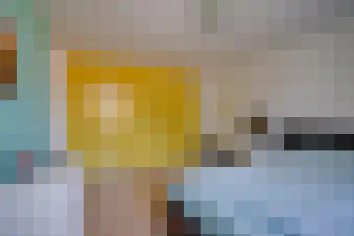 Nijenheim 2303 Zeist thumbnail 20