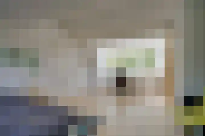 Nijenheim 2303 Zeist thumbnail 30