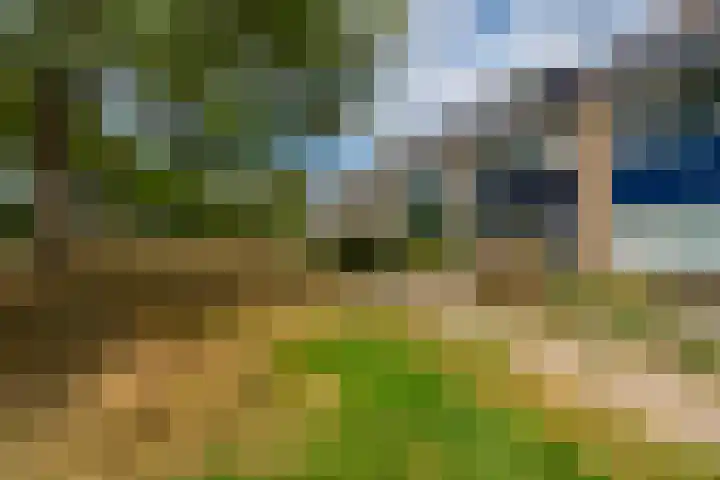 Nijenheim 2303 Zeist thumbnail 34