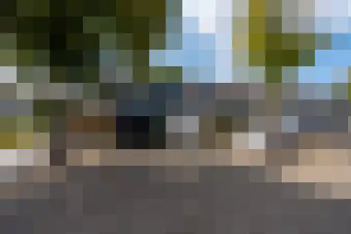 Nijenheim 2303 Zeist thumbnail 35