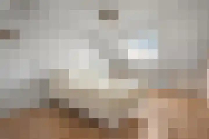Nijenheim 2309 Zeist thumbnail 29