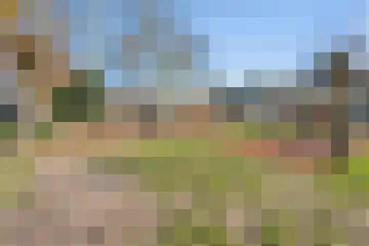 Nijenheim 2309 Zeist thumbnail 36