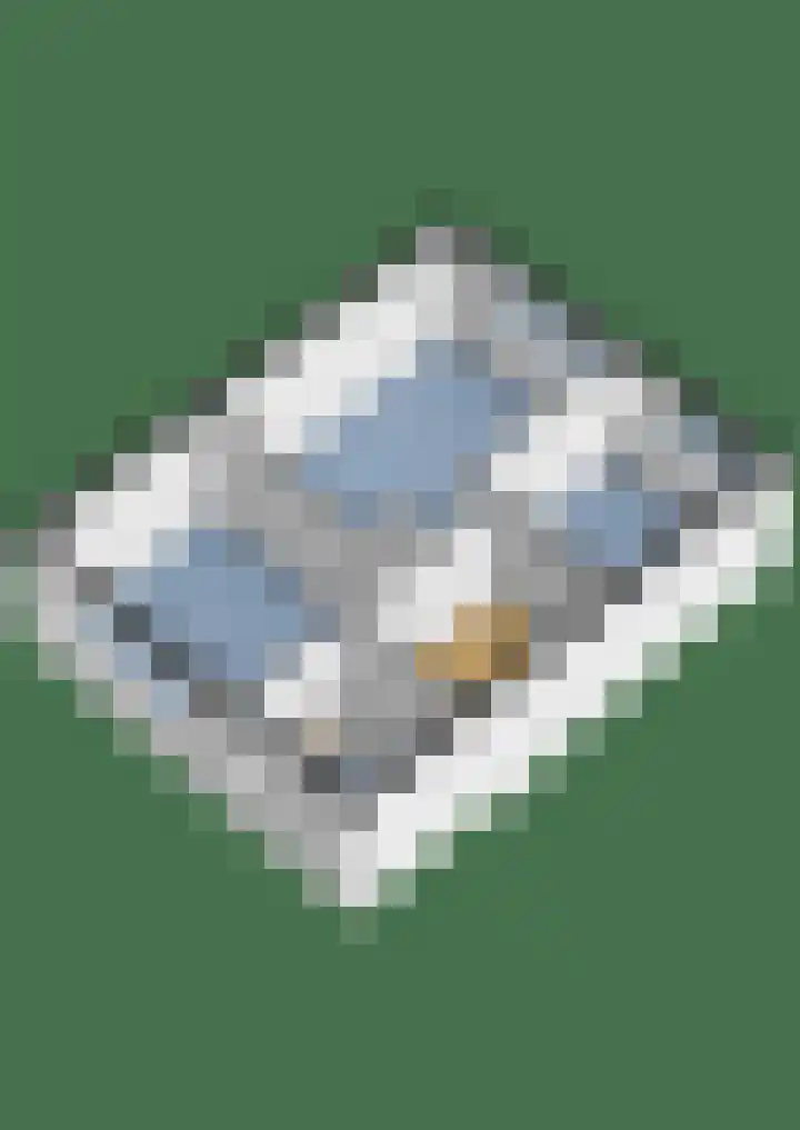 Nijenheim 2309 Zeist thumbnail 40