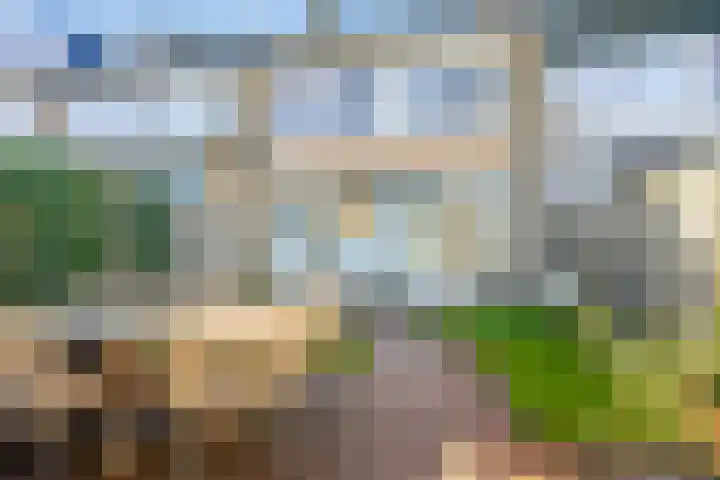 Nijenheim 2309 Zeist thumbnail 5