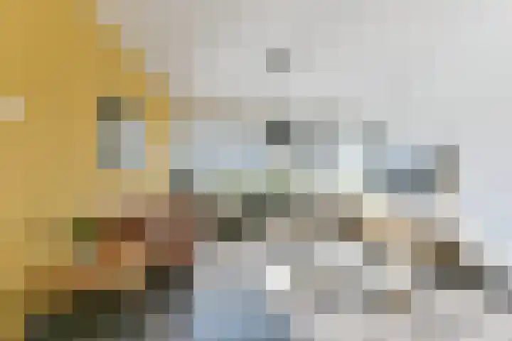 Nijenheim 2313 Zeist thumbnail 12