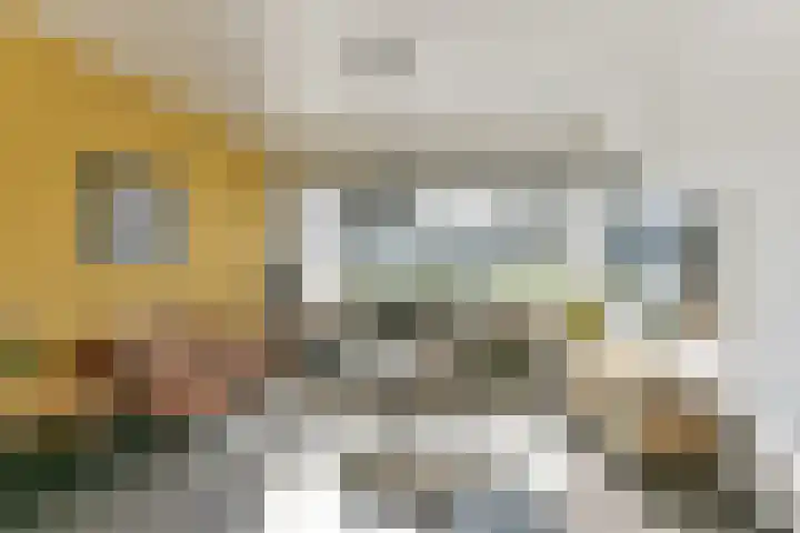 Nijenheim 2313 Zeist thumbnail 13