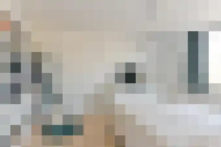 Nijenheim 2313 Zeist thumbnail 28