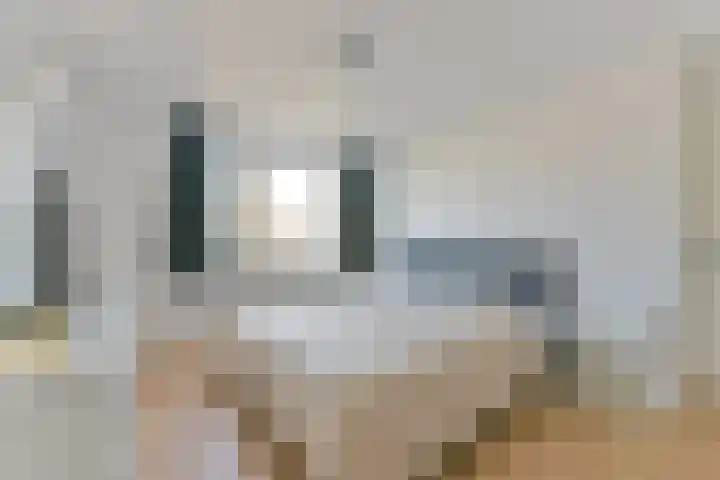 Nijenheim 2313 Zeist thumbnail 30