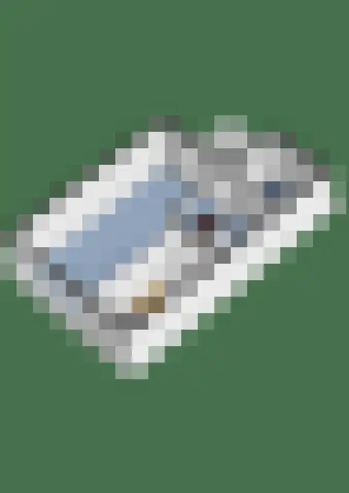 Nijenheim 2313 Zeist thumbnail 45