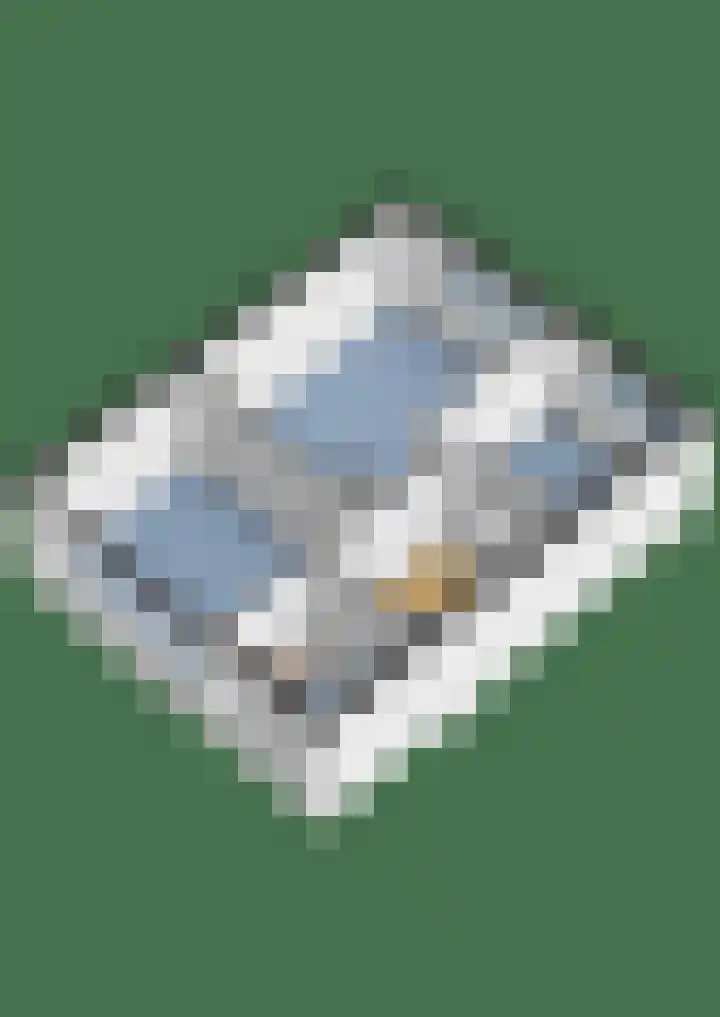 Nijenheim 2313 Zeist thumbnail 49