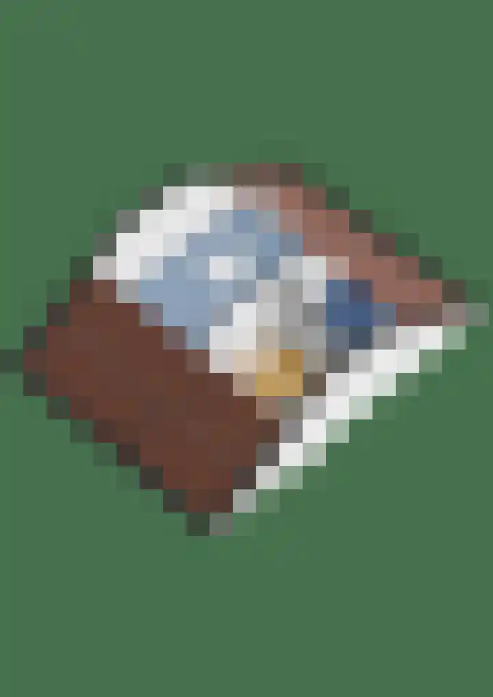 Nijenheim 2313 Zeist thumbnail 51
