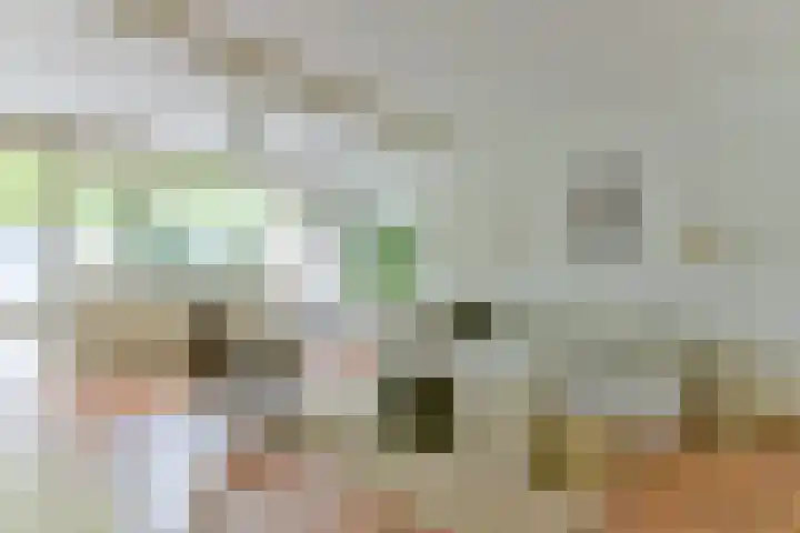 Nijenheim 3102 Zeist thumbnail 10