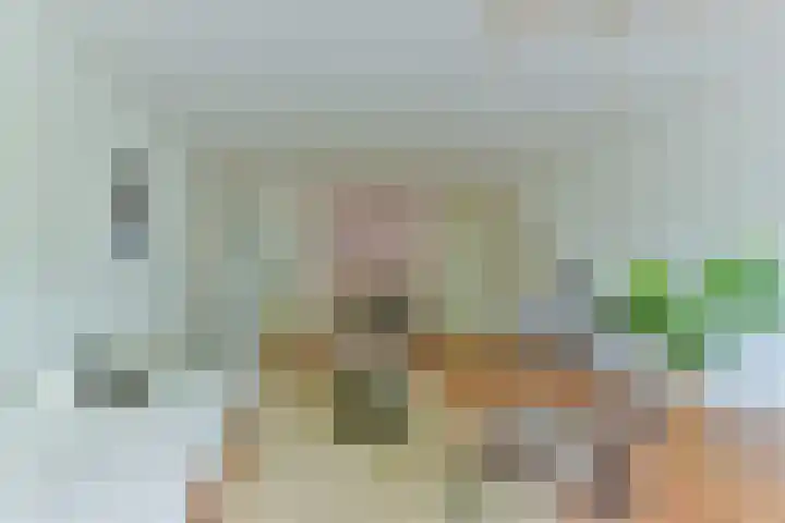 Nijenheim 3102 Zeist thumbnail 11
