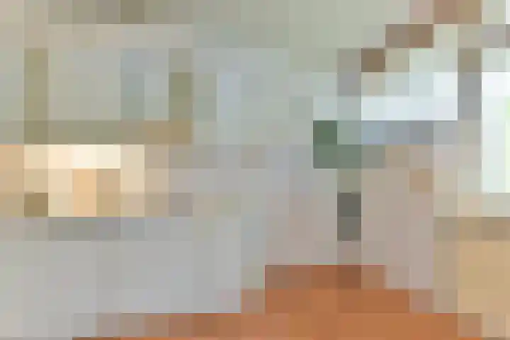 Nijenheim 3102 Zeist thumbnail 17