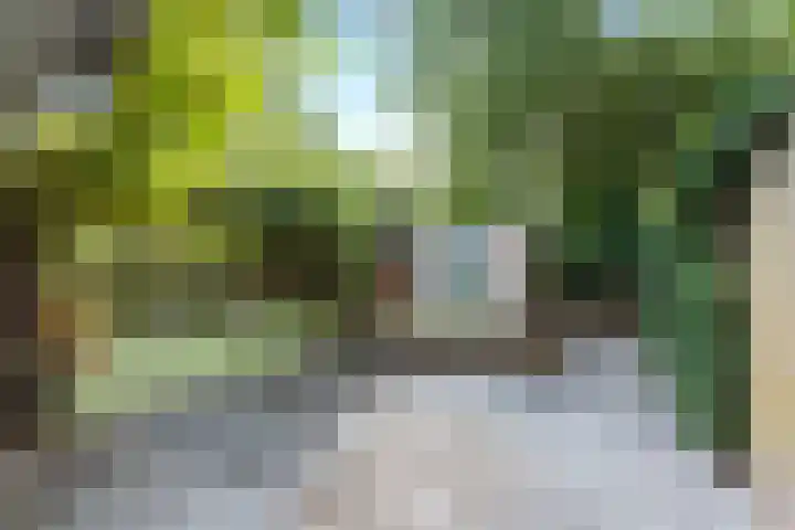 Nijenheim 3102 Zeist thumbnail 33