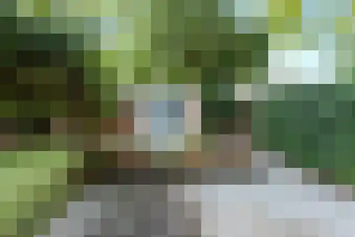 Nijenheim 3102 Zeist thumbnail 34