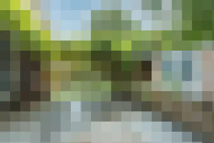 Nijenheim 3102 Zeist thumbnail 35