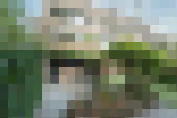 Nijenheim 3102 Zeist thumbnail 36