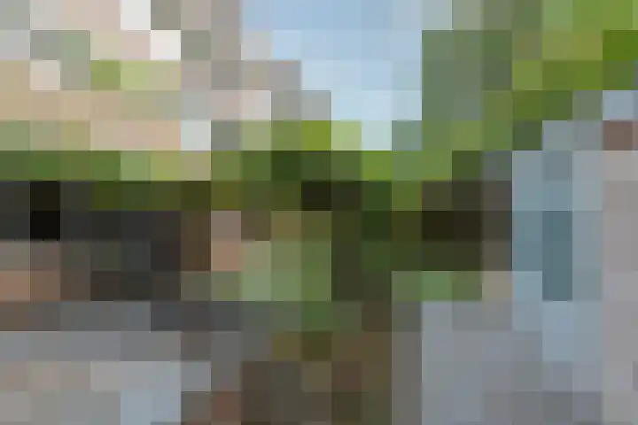 Nijenheim 3102 Zeist thumbnail 37