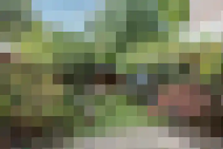 Nijenheim 3102 Zeist thumbnail 38