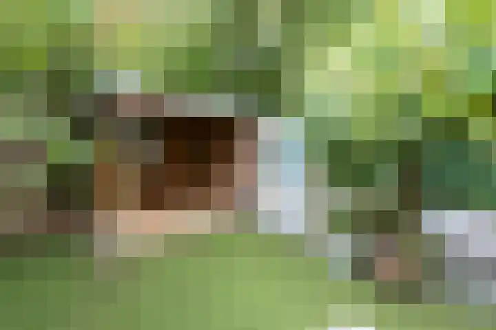 Nijenheim 3102 Zeist thumbnail 39