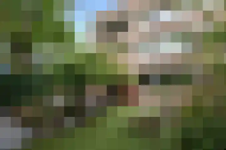Nijenheim 3102 Zeist thumbnail 40