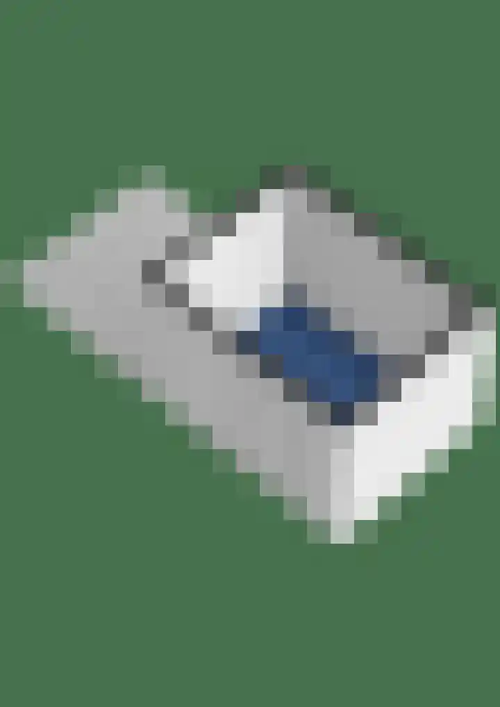 Nijenheim 3102 Zeist thumbnail 44