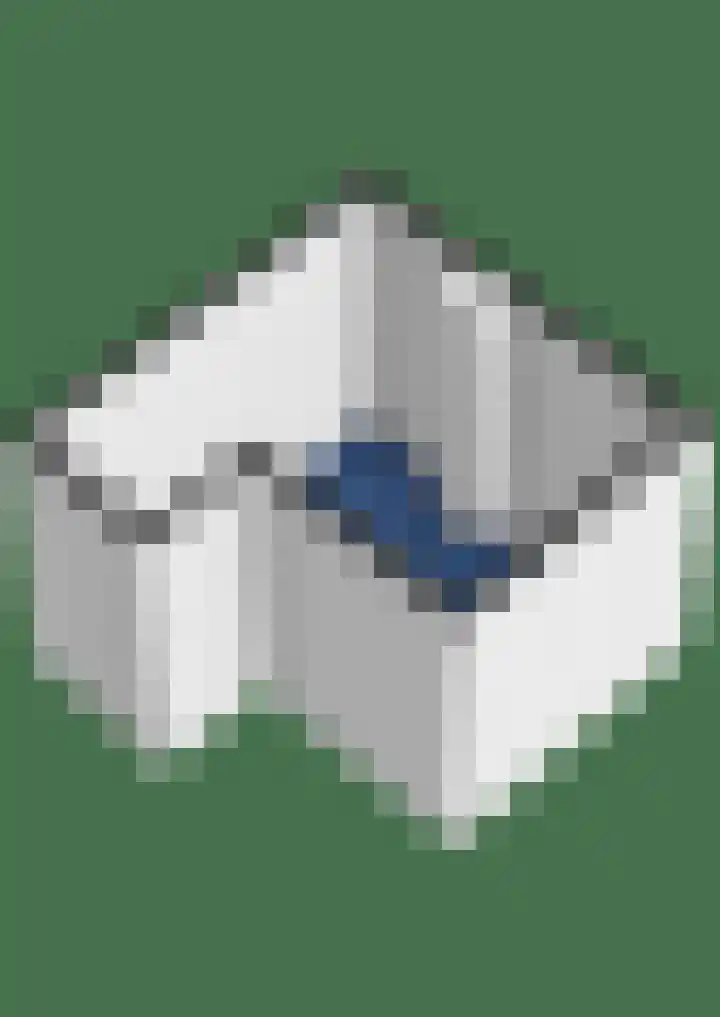 Nijenheim 3102 Zeist thumbnail 46