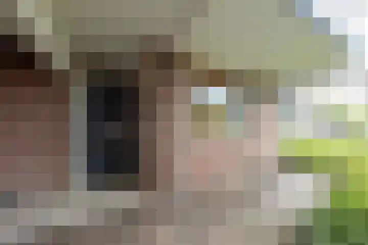 Nijenheim 3102 Zeist thumbnail 5