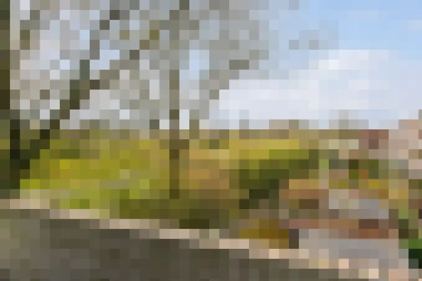 Nijenheim 3148 Zeist thumbnail 15