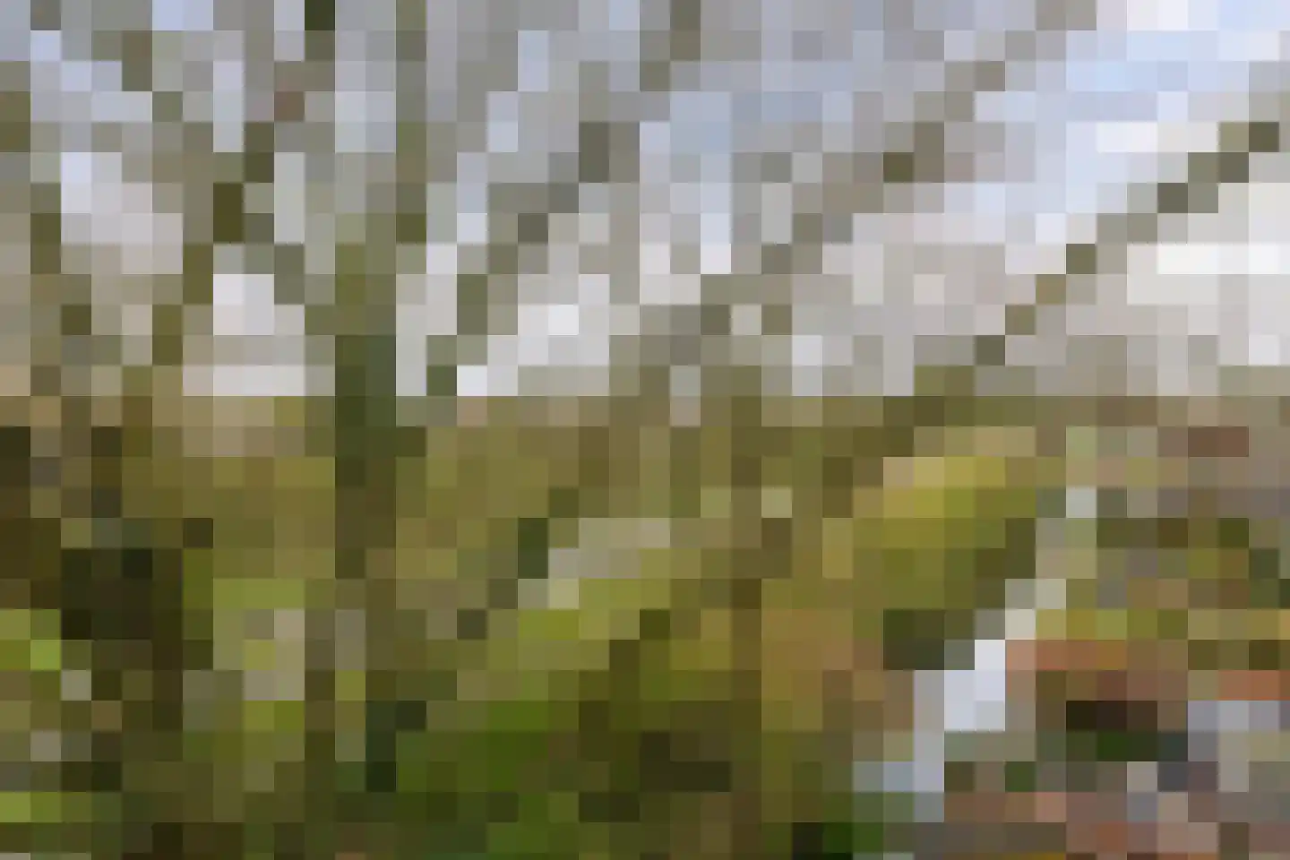 Nijenheim 3148 Zeist thumbnail 16