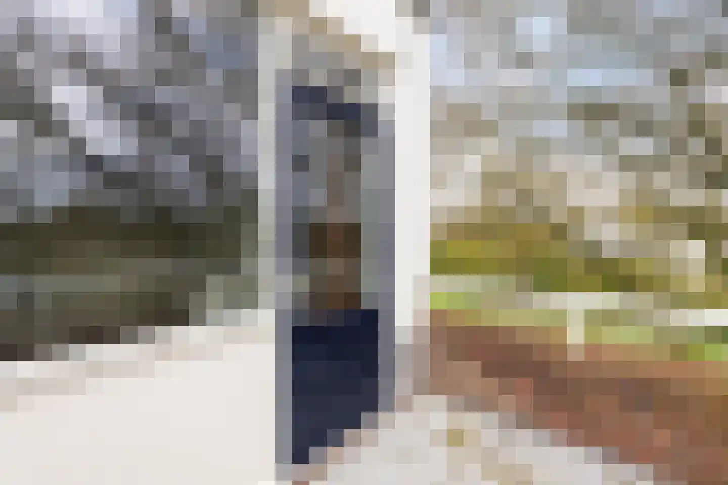 Nijenheim 3148 Zeist thumbnail 27