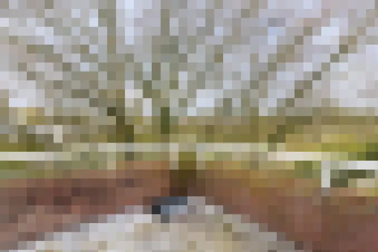 Nijenheim 3148 Zeist thumbnail 29
