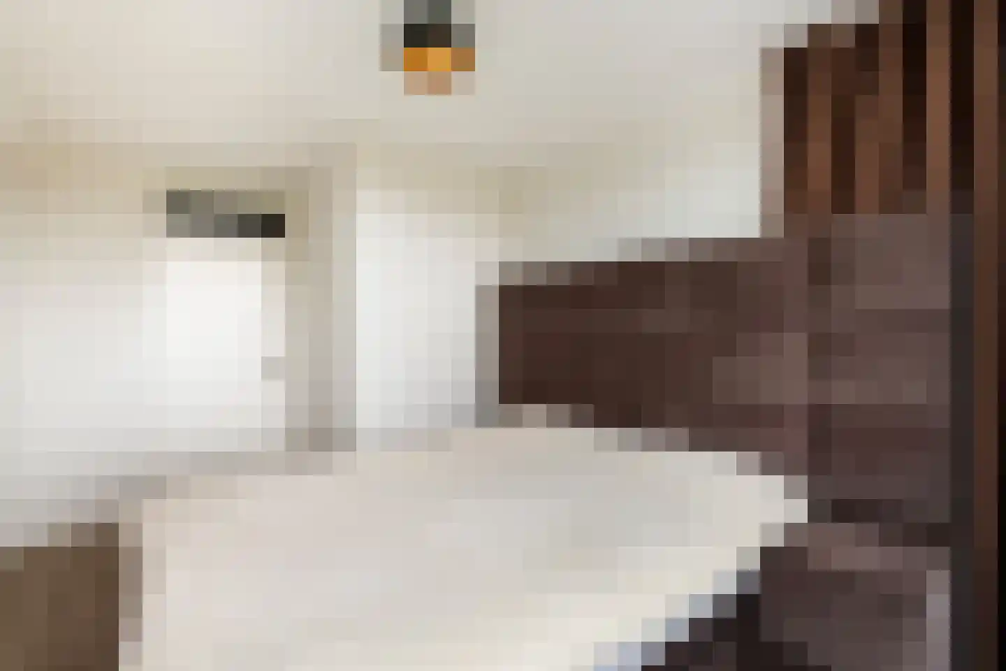 Nijenheim 3148 Zeist thumbnail 33