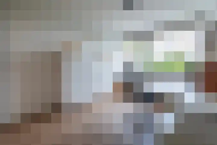 Nijenheim 3211 Zeist thumbnail 14