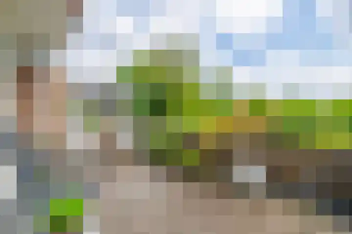 Nijenheim 3211 Zeist thumbnail 18