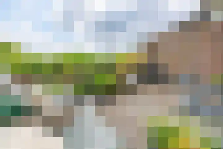 Nijenheim 3211 Zeist thumbnail 19