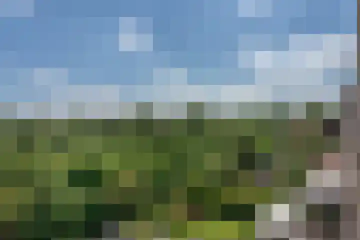 Nijenheim 3211 Zeist thumbnail 20