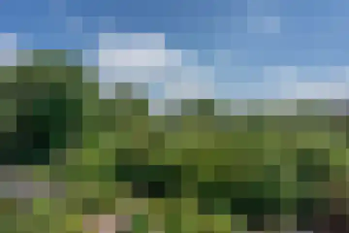 Nijenheim 3211 Zeist thumbnail 21