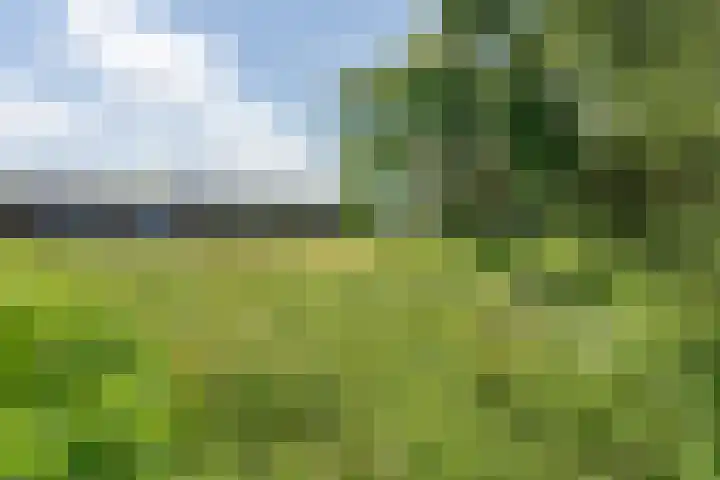 Nijenheim 3211 Zeist thumbnail 25