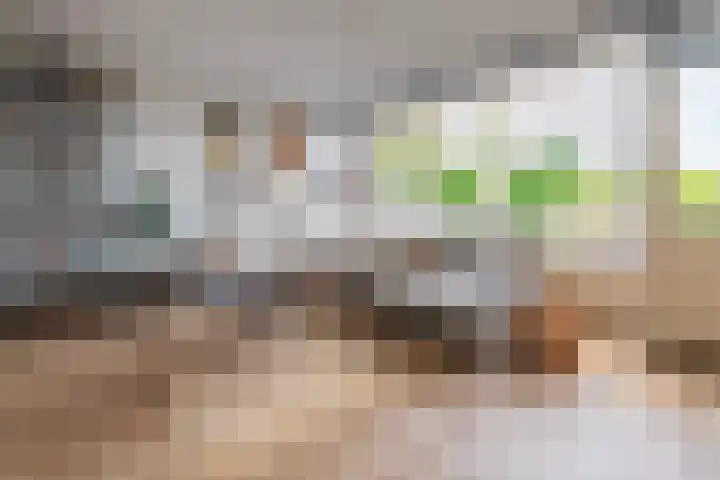 Nijenheim 3211 Zeist thumbnail 5