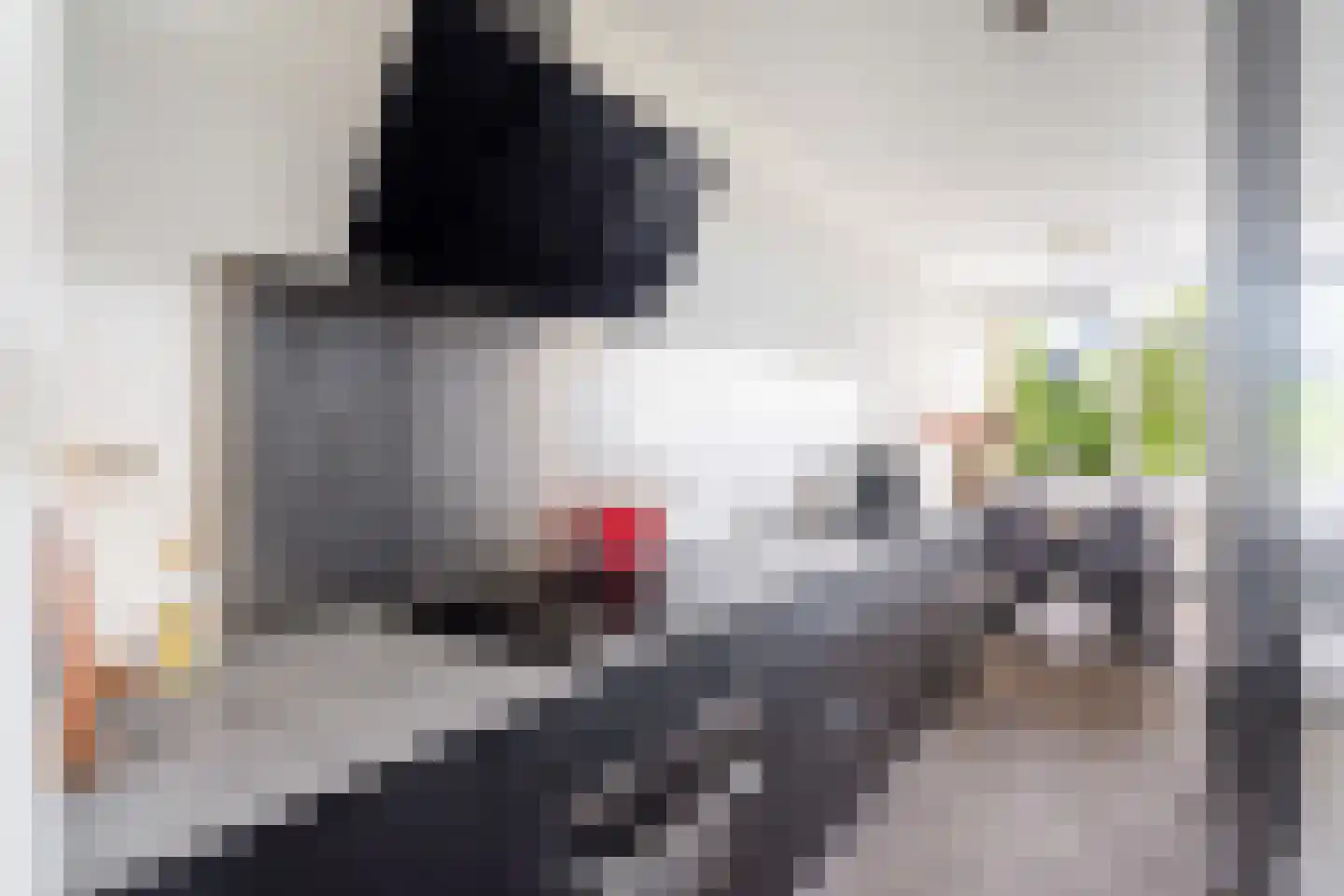 Nijenheim 3231 Zeist thumbnail 13